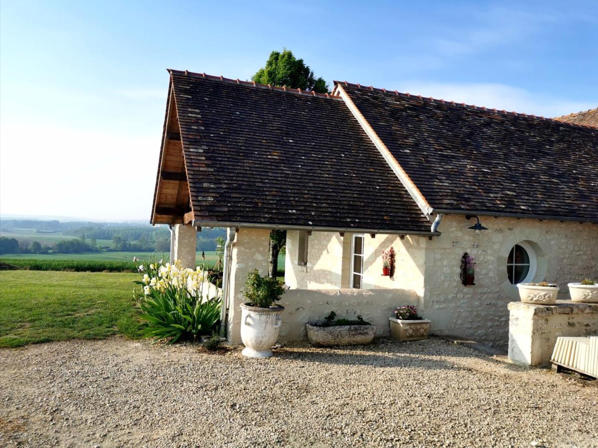 Gite De Charme Dans Un Cadre Calme Et Reposant Châtellerault Exterior foto